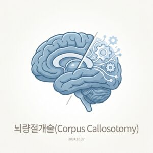 ai thumbnail minimal 뇌량절개술Corpus Callosotomy 1787235437