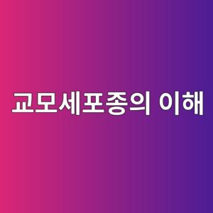 교모세포종의 이해와 대응 3 eab590ebaaa8ec84b8ed8faceca285ec9d98 ec9db4ed95b4 1786762413